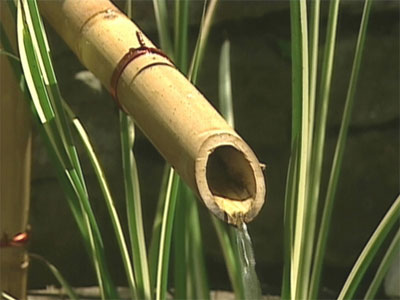 Mát dịu với khu vườn phong thủy 